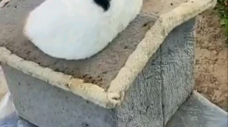 Because it takes time to power on.