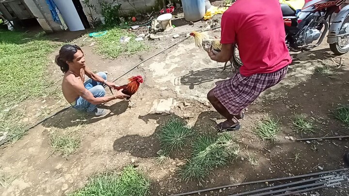 bitaw