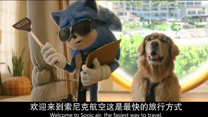 سونيك القنفذ 2