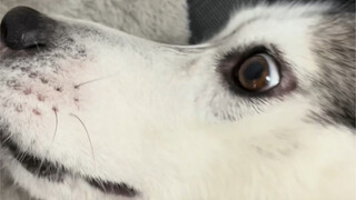 Isn't this heartwarming? What's with that look?