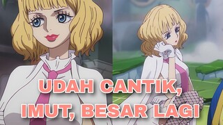 FIKS INI CEWEK TERCANTIK DAN TERGEMOY BADAG BANGET