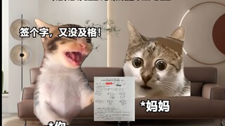妈妈说掏耳朵的时候谁都不能碰我 #抽象 #搞笑 #猫meme