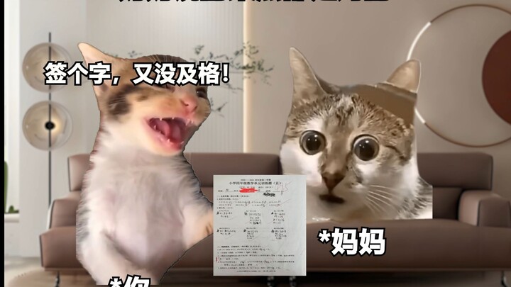 妈妈说掏耳朵的时候谁都不能碰我 #抽象 #搞笑 #猫meme