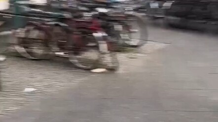 Câu cuối cùng là “need tomato”, cô ấy cần cà chua