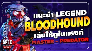 Apex Legends Mobile : แนะนำ Legends Bloodhound  เล่นให้ดูในแรงค์สูงๆ