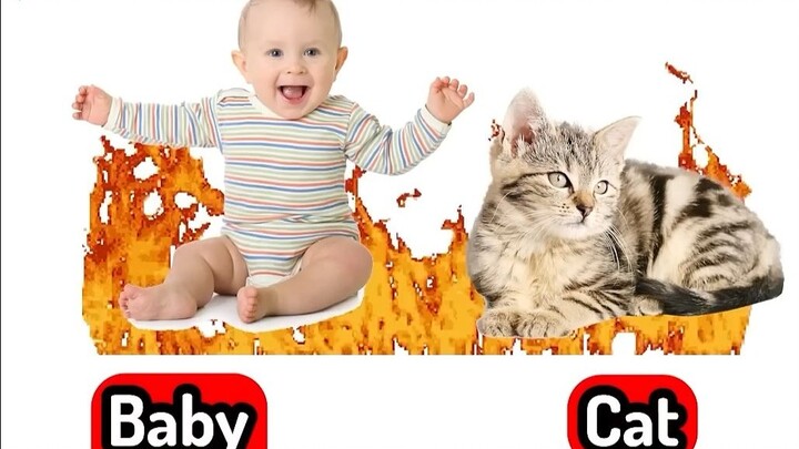 ในช่วงเวลาลิขิตชีวิตและความตาย คุณจะเลือกอย่างไร?