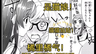 是猫娘！还是橘里橘气的猫娘！awsl！