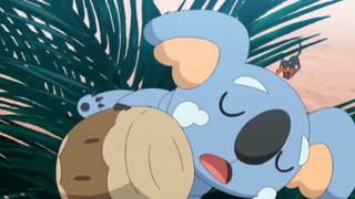 Pokémon Sun And Moon Tập 3 Thuyết Minh