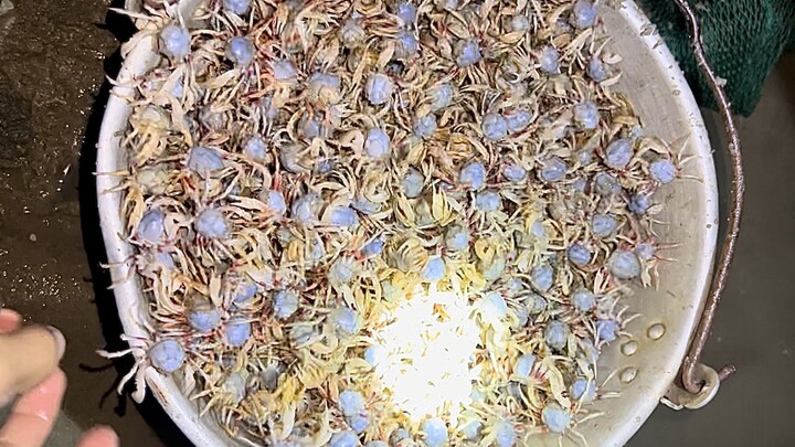 Hari ini panen besar kepiting pasir! Lanjut masuk ke desa untuk dijual lagi!