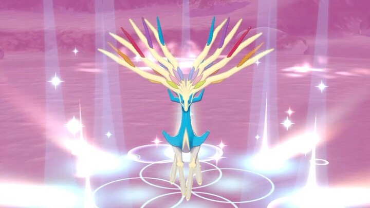 [ โปเกมอน Sword and Shield] แฟลช X กวาง Xerneas รับ! นางฟ้าเต็มไปด้วยพลัง!