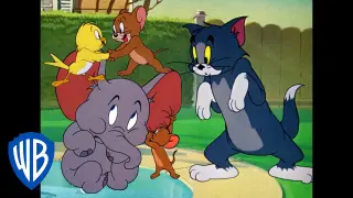 Tom & Jerry | Jerry and His Allies | Classic Cartoon Compilation | WB Kids