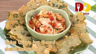 Spicy Crispy Ivy Gourde | Thai Food | ยำตำลึงกรอบทะเล