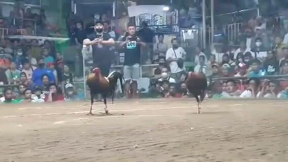 Battle of tiktokers Season 2 1st Fight Loss