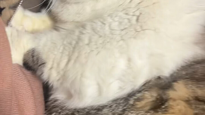 คุณก็สังเกตเห็นแล้วนี่ คุณไม่ได้เป็นคนเดียวหรอกนะ