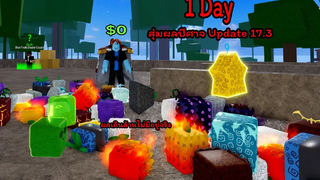 Blox Fruit สุ่มผลปีศาจ Update 173 ผลเกิน1000000ได้หายไปจาก โลก 1 แล้ว