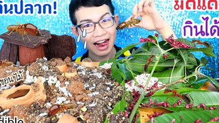 ปลวกกินได้ 🐜 กินไข่มดแดง เปลือกไม้ พร้อมวิธีทำ Mukbang ASMR Edible Termites Eggs Ants Woodขันติ