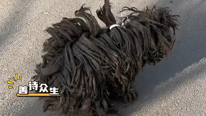 【_عامل جميع الكائنات برفق】 العمل الجديد متاح الآن، تعالَ واطّلع عليه بسرعة!