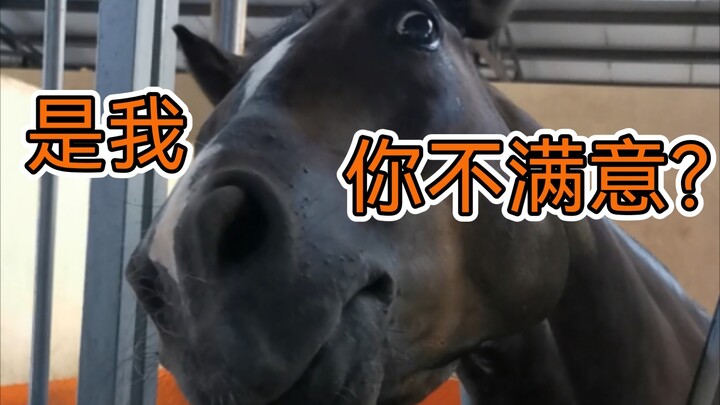 Anh thật biết chơi mà!