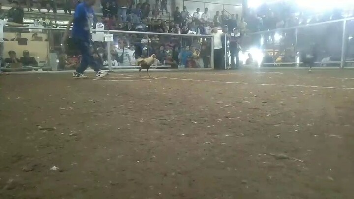 100k parada ng kalaban vs minimum 11k kasado Dami pumago at pumaldo