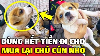 Thanh niên dùng tất cả 'SỐ TIỀN ĐI CHỢ' để mua lại BÉ CÚN khiến ai cũng yêu 😂 | Gâu Đần