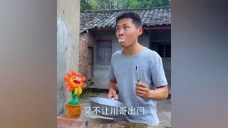 Hài Trung Quốc 2022 _ Hài Troll  Vợ Chồng A Chuan -  Tập 33