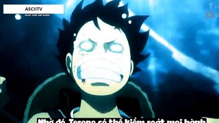 Top 8 Trái Ác Quỷ Đã _Thức Tỉnh_ Trong One Piece #20 7