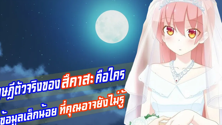 ทฤษฏีตัวจริงของสีคาสะคือใครกับข้อมูลเล็กน้อยที่คุณอาจยังไม่รู้(จะยังไงภรรยาของผมก็น่ารัก)