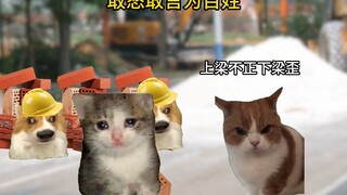 ในดินแดนซานจิ้น ผู้คนต่างยกย่องก่งกงว่ากล้าพูดกล้าแสดงความคิดเห็นเพื่อประโยชน์ของประชาชน