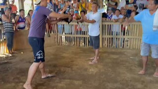 First Fight of our Stags :)