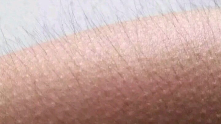 تشعر بالقشعريرة بالفعل (لا يدخل من لديه جُبن!!!)