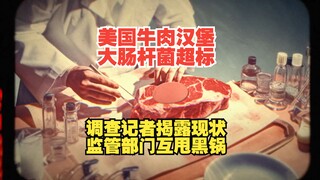 US Beef Burgers and Lettuce Found to Exceed E. coli Limits; Investigative Journalists Team Up with L