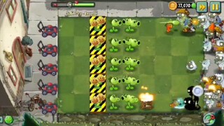 PVZ 2, New Plant Nursery. Split pea 3