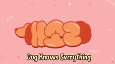 Dog Knows Everything eps 1