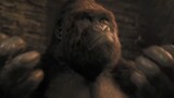 Movie Dolittle - Best Fight Tiger vs Gorilla [Bluray 1080p]
