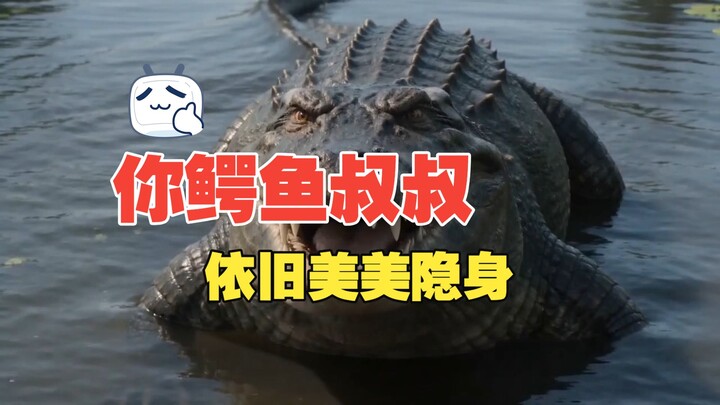 Uncle Croc can go stealth and look fabulous again!