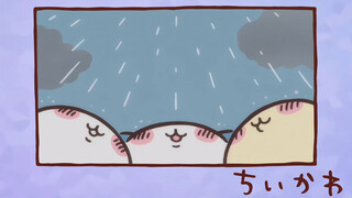 Chiikawa's homemade Chinese subtitles Chapter 142 "Raincoat"