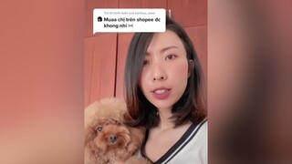 Trả lời  Nói nhỏ thôi nha em :))) fyp changshugo boo just4fun ONhaGiaiTri onhavanvui tiktokvietnam pet thucung fun