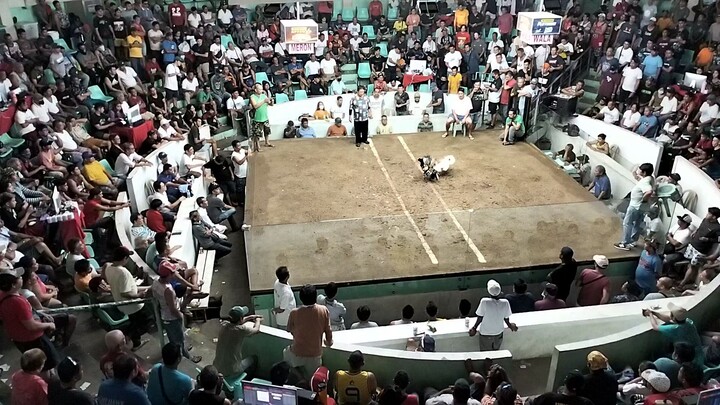 Antipolo cockpit arena 11/26/23