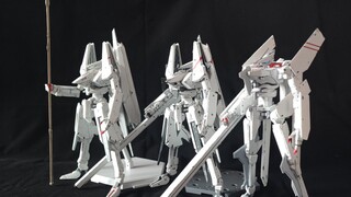 Sharing of the Knights of Sidonia model