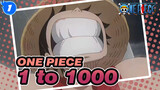 [ONE PIECE] 20 Tahun Untuk Membuat 1 Berubah Menjadi 1000_1