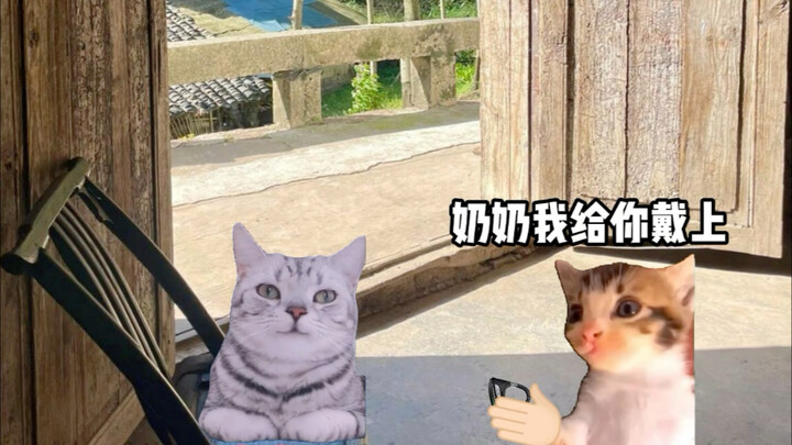 当我给奶奶买了助听器