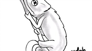 Gambar Iguana