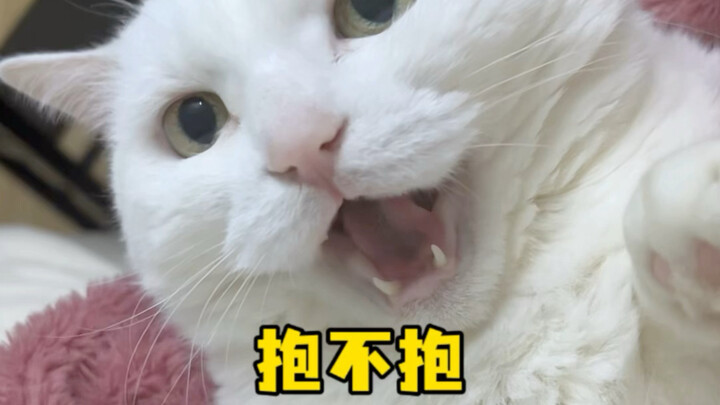 Whether to hug or not is up to Mi!