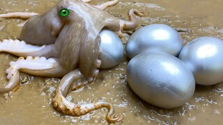 Stop motion animation | Unusual cooking