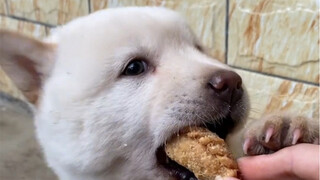 فجرت فضيحة كبيرة، وأنا أعتذر منذ اليوم الأول من الشهر القمري الأول حتى الآن