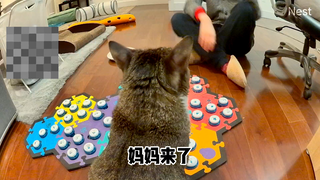 一个小小小小小日常