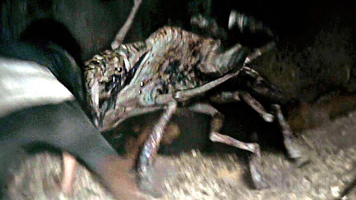 Alien Spiders Attack in the Subway | Cloverfield | CLIP