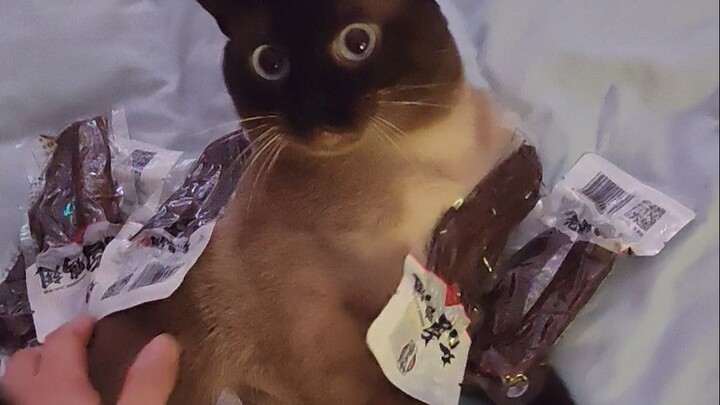 พี่ชาย นี่แหละใช่ไหมงานในเมืองที่นายพูดถึง?