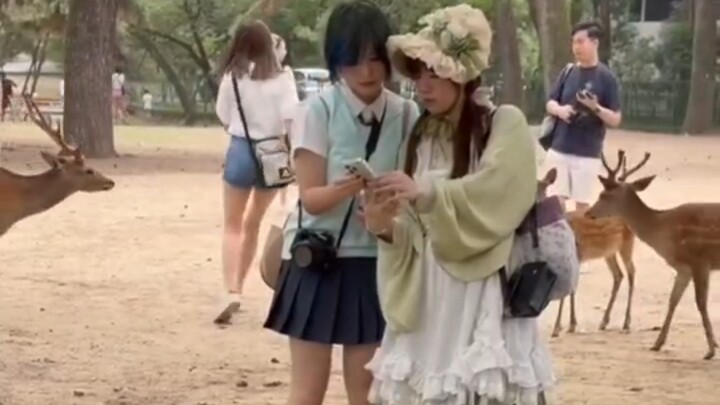 Small workshop cutting fiercely