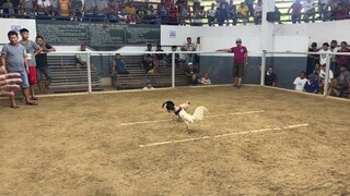 Sunday Hackfight @ Maasin Cockpit Arena